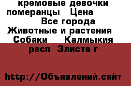 кремовые девочки померанцы › Цена ­ 30 000 - Все города Животные и растения » Собаки   . Калмыкия респ.,Элиста г.